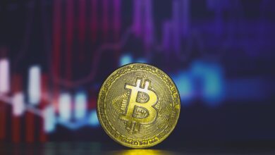 Bitcoin Price Tops $73,000 Ahead of Election Day as Investors Flock to ETFs