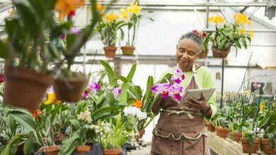 How I’m Talking to Clients Who Want to Keep Working During Retirement