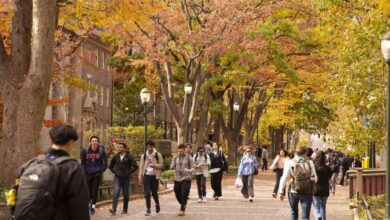 I Started Investing in College. Here Are 5 Key Tips for Other Students