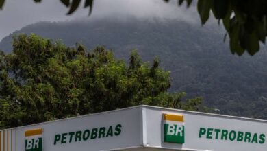 Best Dividend Stocks for November 2024