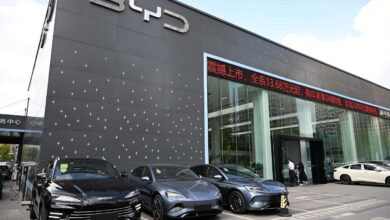 Chinese Electric Vehicle Stocks Rise as Deliveries Jump in October