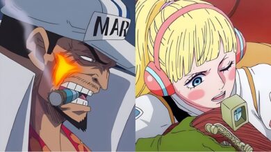 One Piece Vivre Card all but confirms Akainu and Hibari's connection