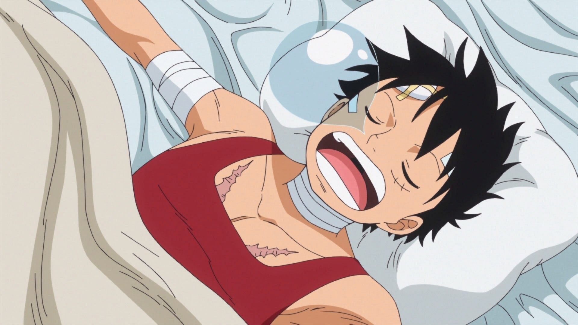 One Piece breaks are too few, and Oda's 3 decades of history shows it 1 One Piece breaks are too few, and Oda's 3 decades of history shows it