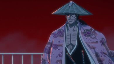 Shunsui's battle tactics in Bleach TYBW leaves Yamamoto to dust