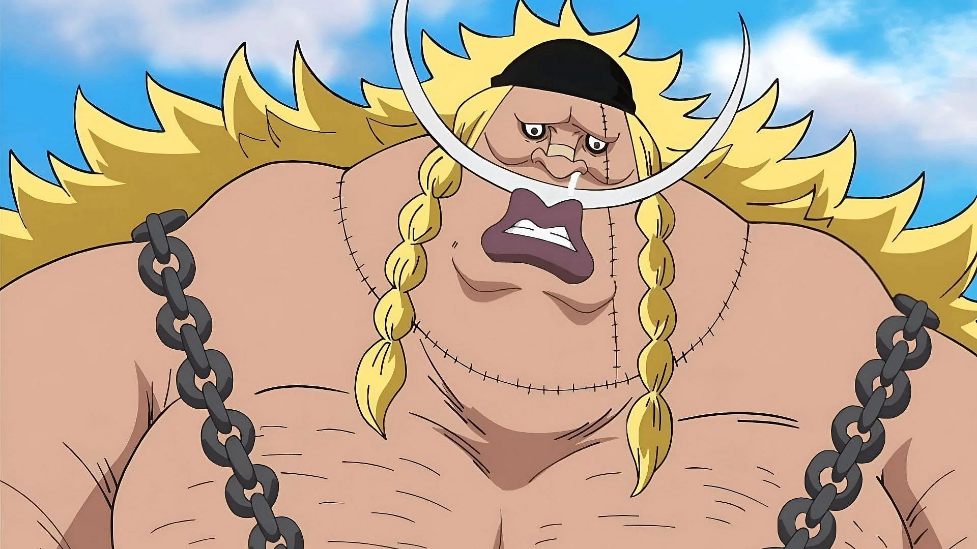 Weevil has Whitebeard's blood in One Piece, but not in the way fans think 1 Weevil has Whitebeard's blood in One Piece, but not in the way fans think