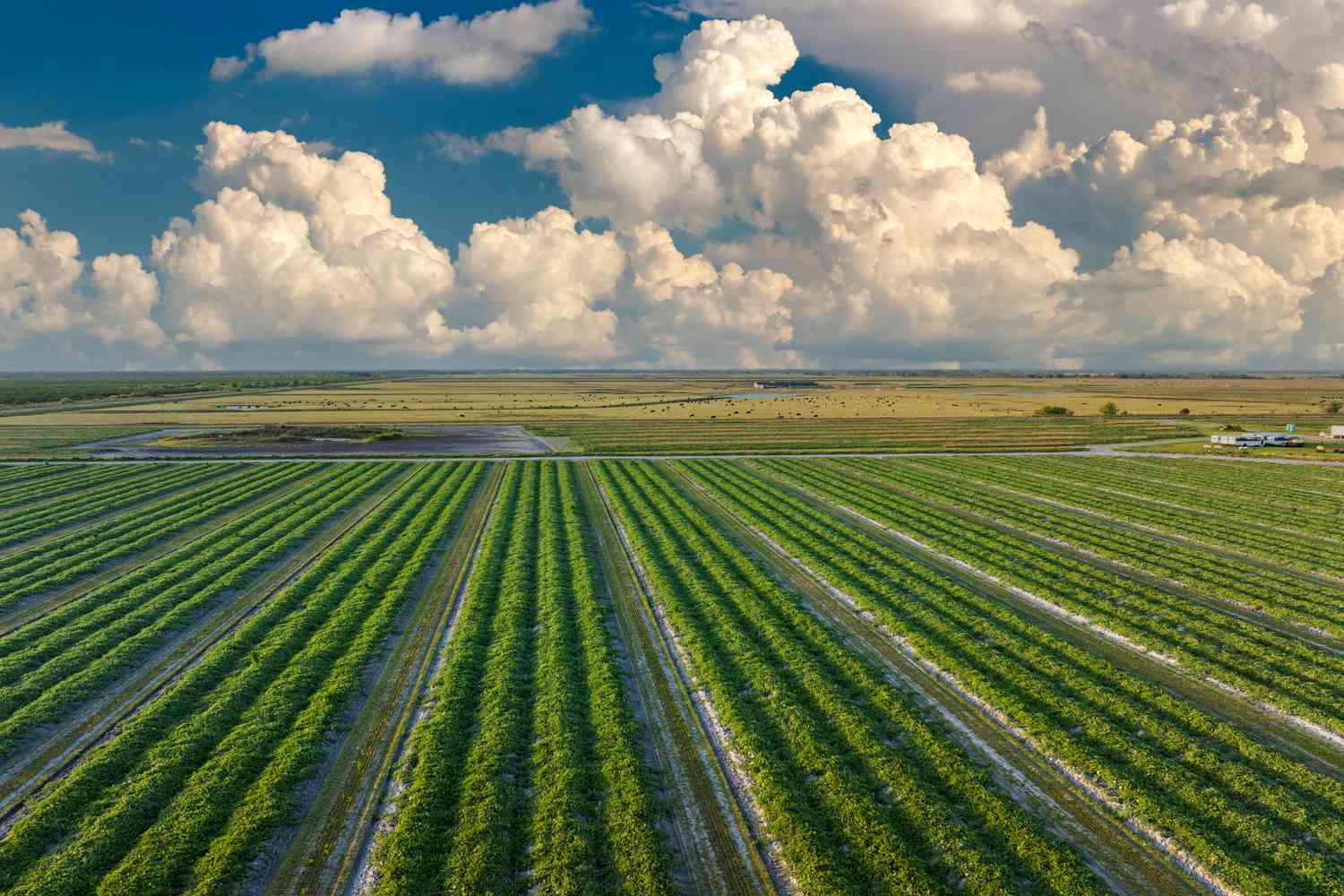 Why Fertilizer Producer Mosaic's Stock Jumped 5% Monday