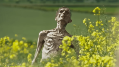 28 Years Later Zombie Revealed Not to Be Cillian Murphy