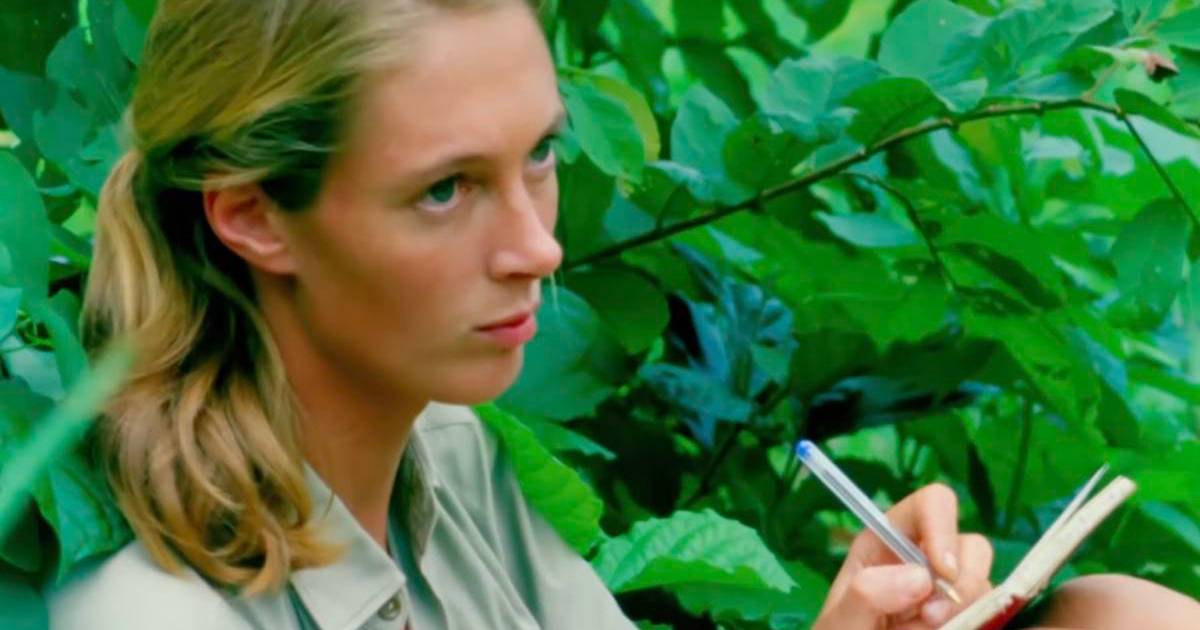 Disney Developing Jane Goodall Movie Penned by The Luminaries Writer 1 Disney Developing Jane Goodall Movie Penned by The Luminaries Writer