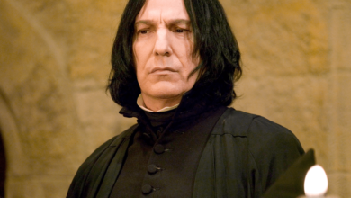 Harry Potter HBO Show Finds Its Severus Snape