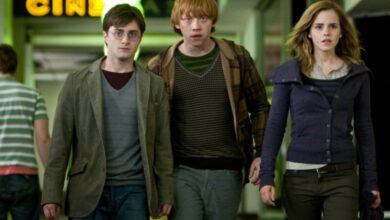 Harry Potter Series Gets Disappointing Release Date Window for HBO & Max