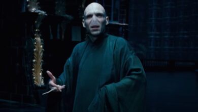 Harry Potter’s Ralph Fiennes Favors Cillian Murphy to Be the Next Voldemort