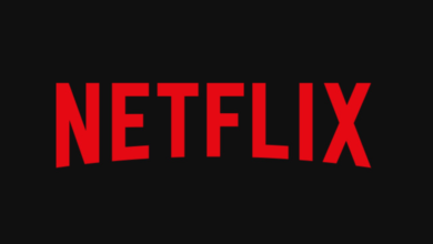 Netflix Wins Rights to Fantasy Romance Novel Quicksilver