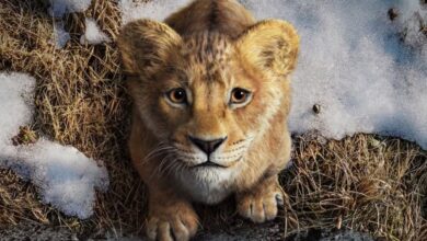 The Lion King Will Feature James Earl Jones Tribute