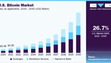 Bitcoin Market Trends and Future Outlook February 2025