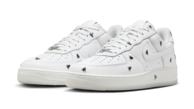 'Houseflies' Nike Air Force 1